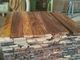 Η σταθερή πριονισμένη ξύλο ξυλεία κλιβάνων, τραχιά πριονισμένη ξυλεία προσαρμόζει το μέγεθος ένας βαθμός